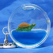 Keyring Round Turtle